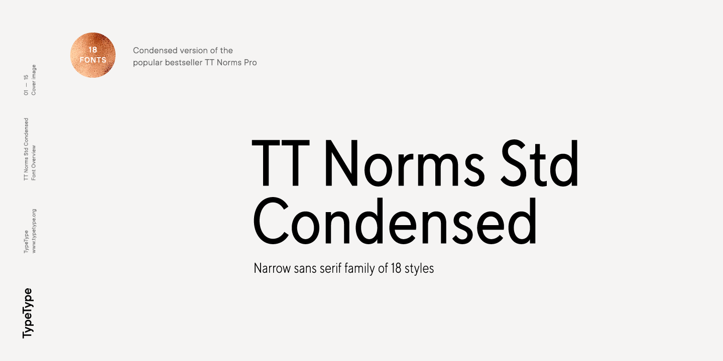 Example font TT Norms Std Condensed #1